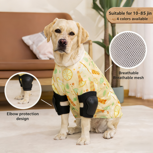 Breathable Mesh Dog T-Shirt, Summer 2-Legged Pet Shirt for Medium to Large Dogs, Large, Stylish Pattern Options for Golden Retrievers, Labradors, Shiba Inus CWFZ11